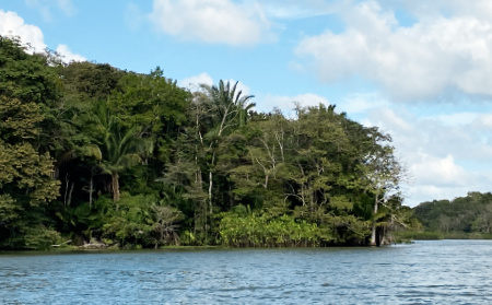 Lake-Gatun at the Panama Canal