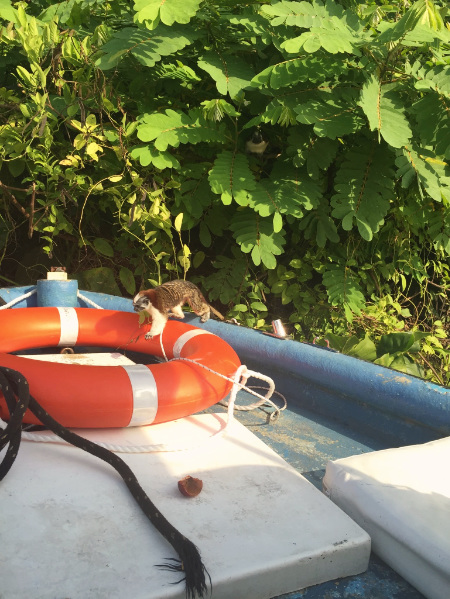 Tamarindo Monkey Canal Boat