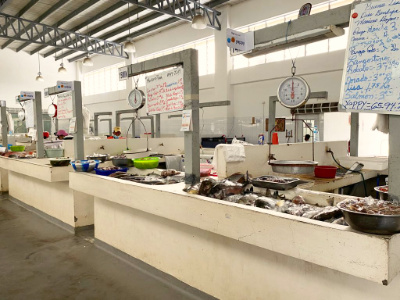 Fish-Market-Rio-Hato