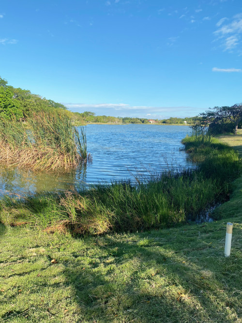 Lake view on walk around Buenaventura